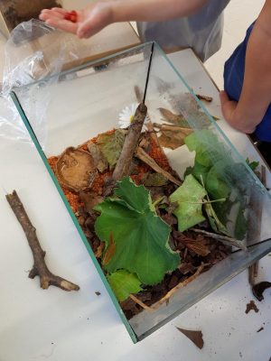 Schneckenalarm in Klasse 2