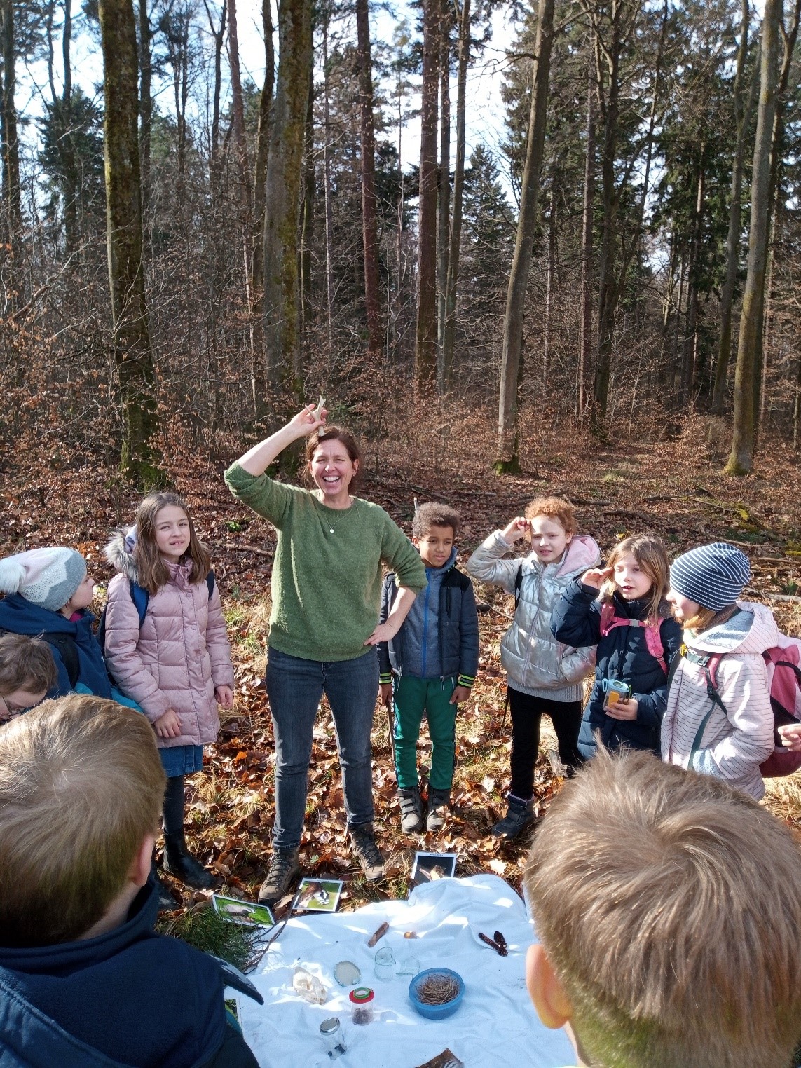 Ein spannender Vormittag im Wald